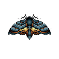 Neptattoo-Moth