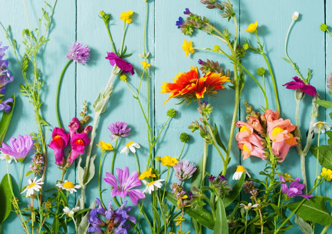 Neptattoo-Inspiratie-Bloemen