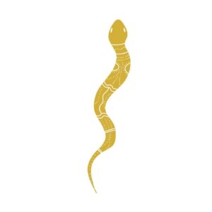 Neptattoo Gold - Snake